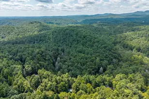 488 Whispering Pne Ln, Cherrylog, GA 30522 - Photo 54