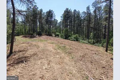 0 Ryo Mountain Road #9609, Fairmount, GA 30139 - Photo 34
