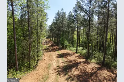0 Ryo Mountain Road #9609, Fairmount, GA 30139 - Photo 18
