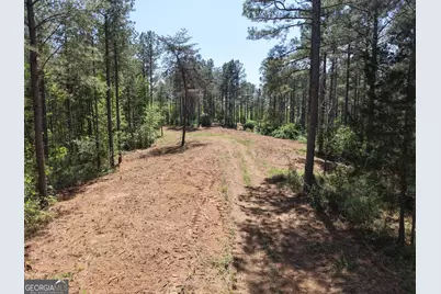 0 Ryo Mountain Road #9609, Fairmount, GA 30139 - Photo 32