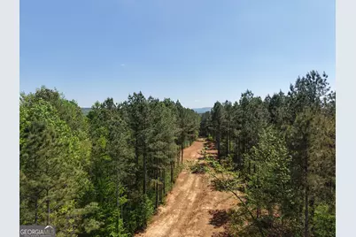 0 Ryo Mountain Road #9609, Fairmount, GA 30139 - Photo 10