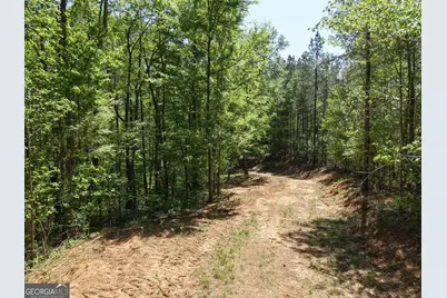 0 Ryo Mountain Road #9609, Fairmount, GA 30139 - Photo 54