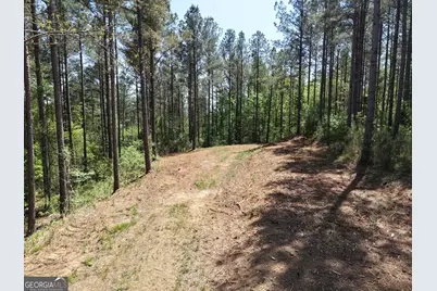 0 Ryo Mountain Road #9609, Fairmount, GA 30139 - Photo 36