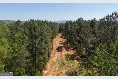 0 Ryo Mountain Road #9609, Fairmount, GA 30139 - Photo 12