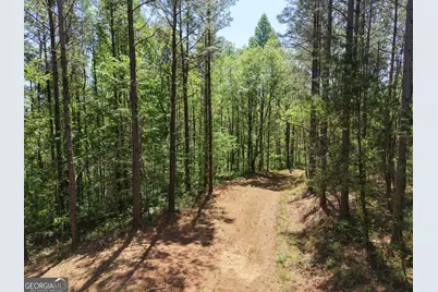 0 Ryo Mountain Road #9609, Fairmount, GA 30139 - Photo 38
