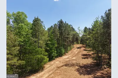 0 Ryo Mountain Road #9609, Fairmount, GA 30139 - Photo 8