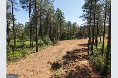 0 Ryo Mountain Road #9609, Fairmount, GA 30139 - Photo 22
