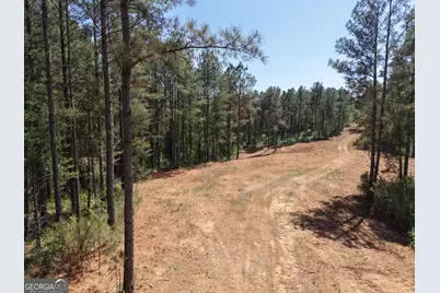 0 Ryo Mountain Road #9609, Fairmount, GA 30139 - Photo 24