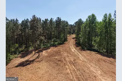 0 Ryo Mountain Road #9609, Fairmount, GA 30139 - Photo 28