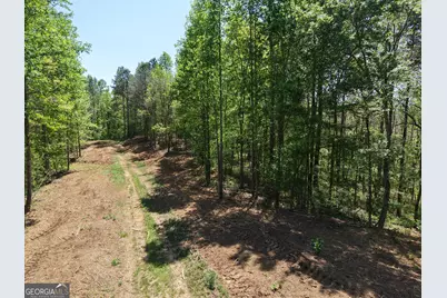 0 Ryo Mountain Road #9609, Fairmount, GA 30139 - Photo 50