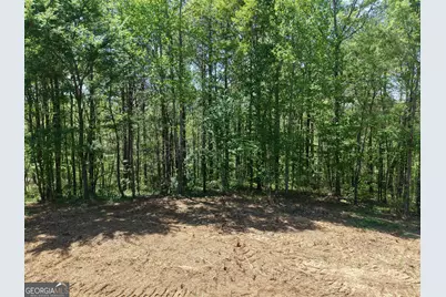 0 Ryo Mountain Road #9609, Fairmount, GA 30139 - Photo 48