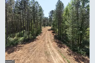 0 Ryo Mountain Road #9609, Fairmount, GA 30139 - Photo 30