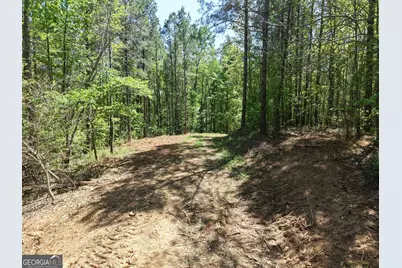 0 Ryo Mountain Road #9609, Fairmount, GA 30139 - Photo 52