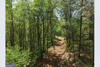 0 Ryo Mountain Road #9609, Fairmount, GA 30139 - Photo 40