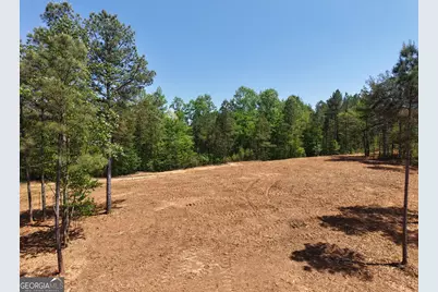 0 Ryo Mountain Road #9609, Fairmount, GA 30139 - Photo 4