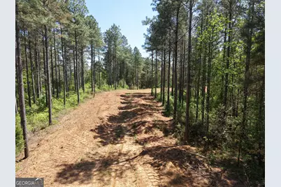 0 Ryo Mountain Road #9609, Fairmount, GA 30139 - Photo 20