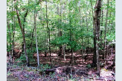 343 Hollybrook Road, Dahlonega, GA 30533 - Photo 10