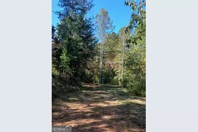 343 Hollybrook Road, Dahlonega, GA 30533 - Photo 14