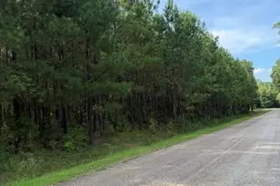 108 Aubrey Mays Rd, Forsyth, GA 31029 - Photo 1