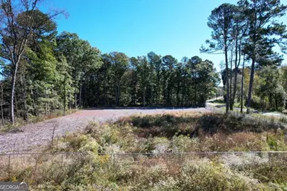 800 Hair Lake Road, Summerville, GA 30747 - Photo 4