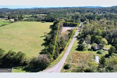 800 Hair Lake Road, Summerville, GA 30747 - Photo 12