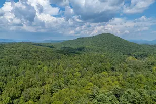 266 Enota Dr, Sautee Nacoochee, GA 30571 - Photo 10