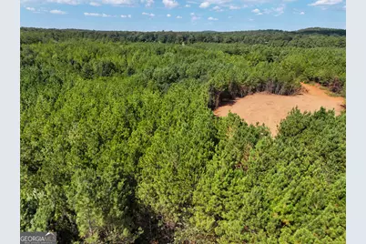 0 Cashtown Road - Tract 4 #TRACT 4, Aragon, GA 30104 - Photo 8