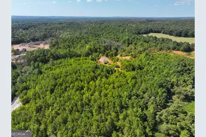 0 Cashtown Road - Tract 4 #TRACT 4, Aragon, GA 30104 - Photo 30