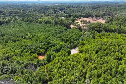0 Cashtown Road - Tract 4 #TRACT 4, Aragon, GA 30104 - Photo 12