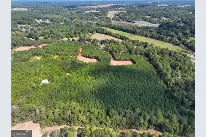 0 Cashtown Road - Tract 4 #TRACT 4, Aragon, GA 30104 - Photo 2
