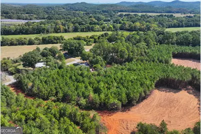 0 Cashtown Road - Tract 4 #TRACT 4, Aragon, GA 30104 - Photo 10