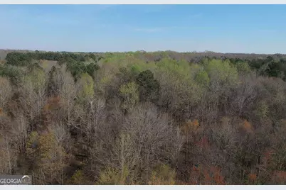0 Cobb Road, Covington, GA 30014 - Photo 2