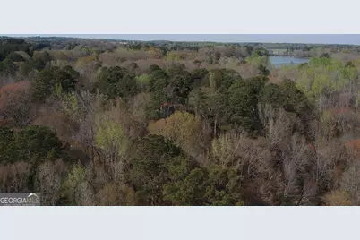 0 Cobb Road, Covington, GA 30014 - Photo 8