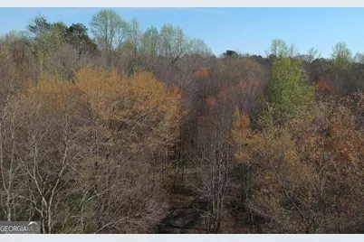 0 Cobb Road, Covington, GA 30014 - Photo 4