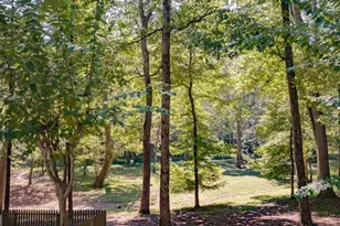 120 Rosses Point, Tyrone, GA 30290 - Photo 34