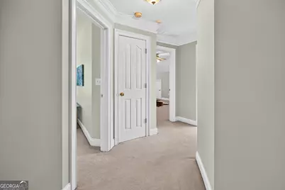 969 Palmetto Tyrone Road, Sharpsburg, GA 30277 - Photo 38