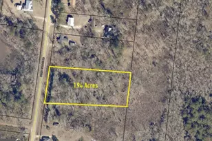 0 Piney Grove Rd, Midville, GA 30441 - Photo 1