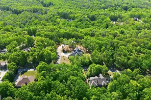 110 Fall Pippin Court, Clarkesville, GA 30523 - Photo 68