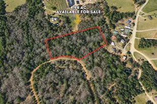 0 Nelson Creek, Louisville, GA 30434 - Photo 1