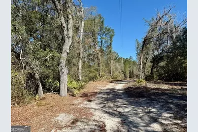 0 Live Oak Lane Road, Nevils, GA 31321 - Photo 2