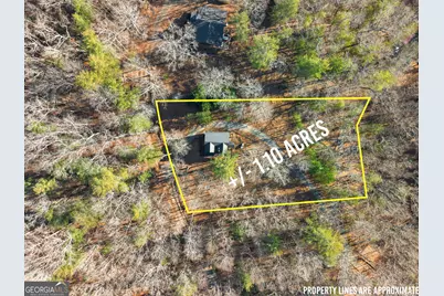 234 Old Indian Trail, Blue Ridge, GA 30513 - Photo 50