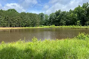 104 E Oak St, Luthersville, GA 30251 - Photo 46