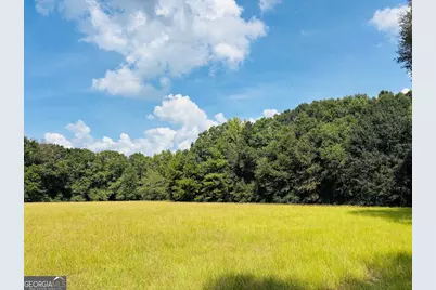 0 Fouche Road #UNIT A, Buena Vista, GA 31803 - Photo 18