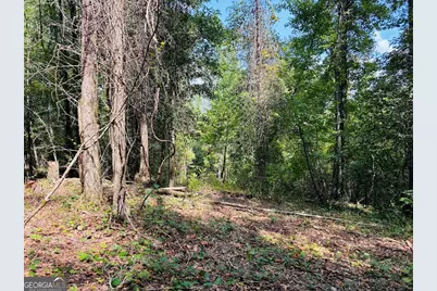 0 Fouche Road #UNIT A, Buena Vista, GA 31803 - Photo 38