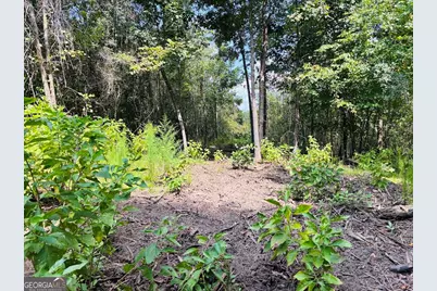 0 Fouche Road #UNIT A, Buena Vista, GA 31803 - Photo 40