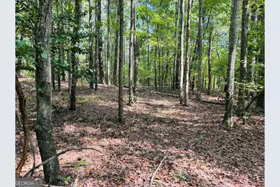 0 Fouche Road #UNIT A, Buena Vista, GA 31803 - Photo 28