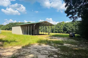 0 Fouche Rd, Buena Vista, GA 31803 - Photo 1