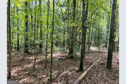 0 Fouche Road #UNIT A, Buena Vista, GA 31803 - Photo 30