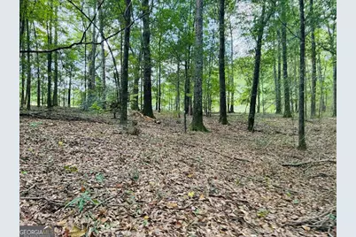 0 Fouche Road #UNIT A, Buena Vista, GA 31803 - Photo 48