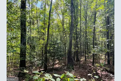 0 Fouche Road #UNIT A, Buena Vista, GA 31803 - Photo 26